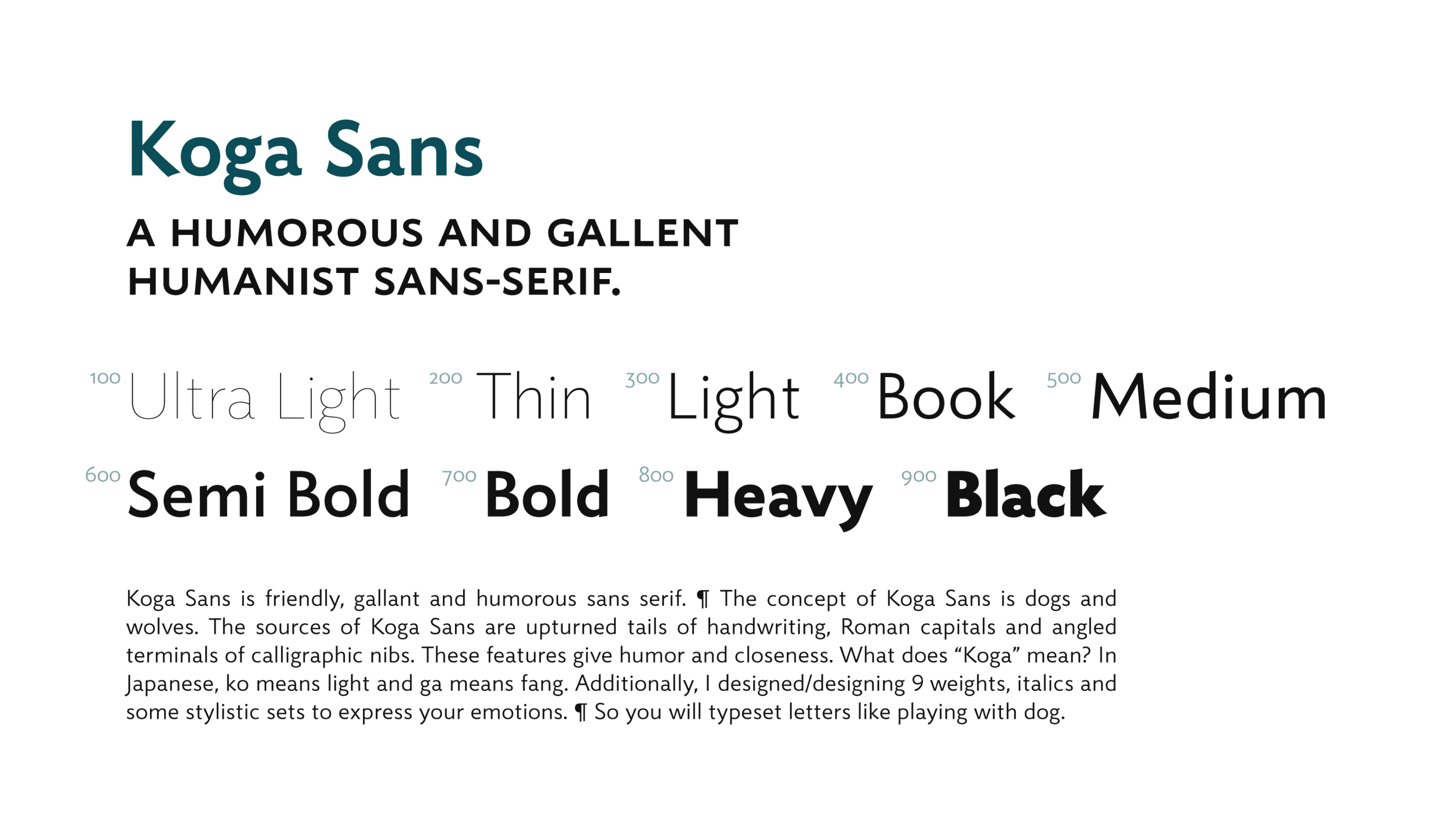 Koga Sansのメインイメージとウェイト